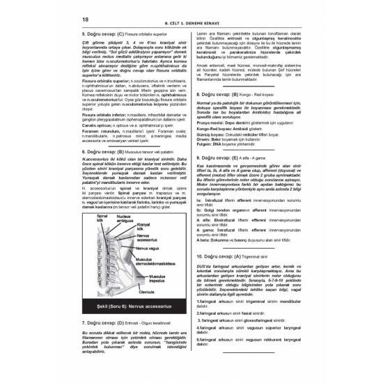 DENTTEST DUS İÇİN AÇIKLAMALI 12 DNM.SNV ( 8.Cilt ) DENTTEST DUS İÇİN AÇIKLAMALI 12 DNM.SNV ( 8.Cilt )