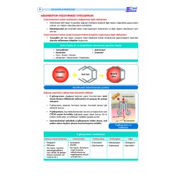 DUS Şampiyonların Notu ( 17.Baskı ) Farmakoloji