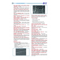 DUS Hızlı Tekrar ( 3.Baskı ) Klinik / 2.Cilt