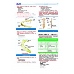 DUS Hızlı Tekrar ( 1.Cilt ) Temel / 4.Baskı