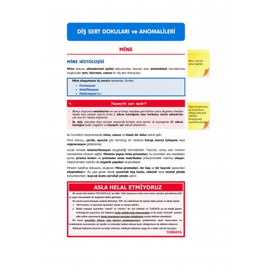DUS Şampiyonların Notu Restoratif ( Özel Basım ) DUS Şampiyonların Notu Restoratif ( Özel Basım )