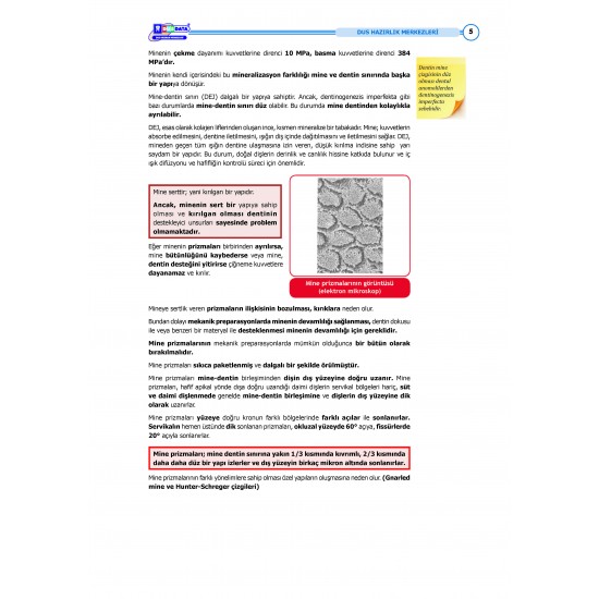 DUS Şampiyonların Notu Restoratif ( Özel Basım ) DUS Şampiyonların Notu Restoratif ( Özel Basım )