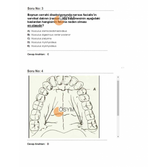 DUS SORULARI - ÖSYM'nin Orijinal 2019