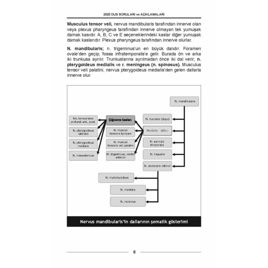 DUS SORULARI - ÖSYM'nin Orijinal 2020