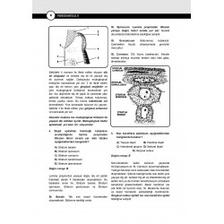 DUS Miadent Soruları Periodontoloji ( 6.Baskı )