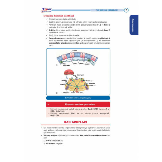 Entegre Konu Anlatımlarıyla ( 2.Baskı ) Entegre Konu Anlatımlarıyla ( 2.Baskı )