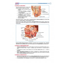 TUS Entegre Temel Gastrointestinal Sistem 2. Baskı