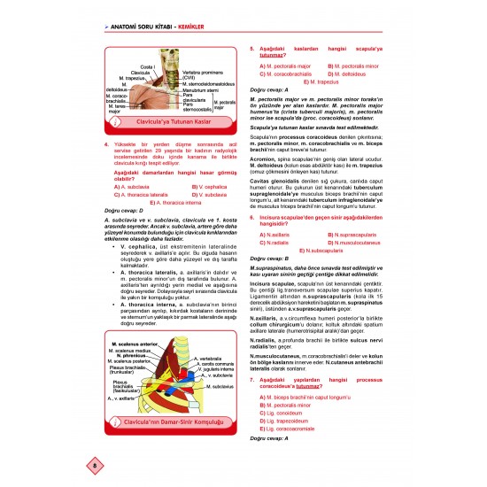 Klinisyen Soruları Anatomi ( 11.Baskı ) Klinisyen Soruları Anatomi ( 11.Baskı )