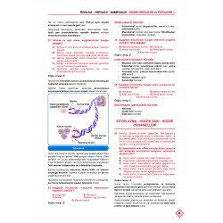 Klinisyen Soruları Fizyoloji ( 12.Baskı )