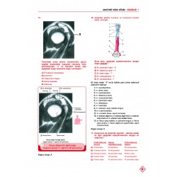 Klinisyen Prime Soruları Anatomi ( 17.Baskı )