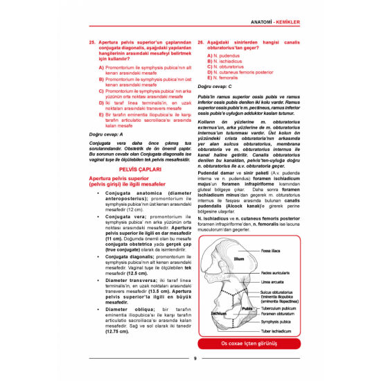 Meditus Anatomi Soruları ( 2.Baskı ) Meditus Anatomi Soruları ( 2.Baskı )