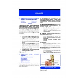 DUS Prodent Soruları ( 10.Baskı ) Anatomi