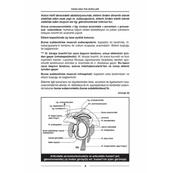 Nisan 2004 Açıklamalı Tus Soruları