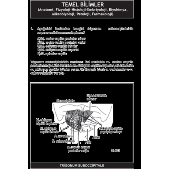 Nisan 2007 Açıklamalı Tus Soruları Nisan 2007 Açıklamalı Tus Soruları