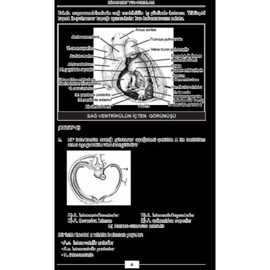 Nisan 2007 Açıklamalı Tus Soruları