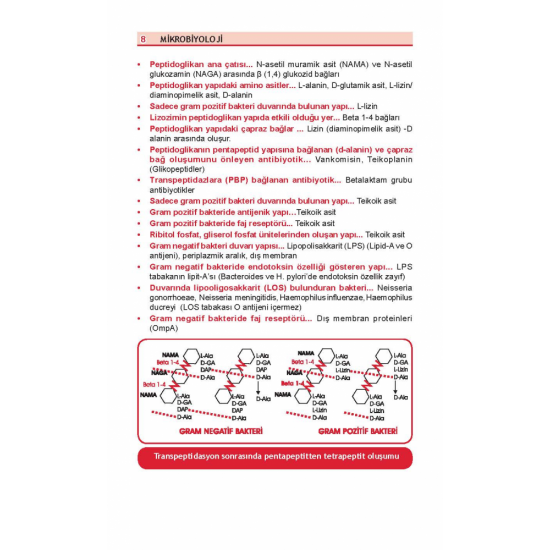 Optimum Review Özet ( 9.Baskı ) Mikrobiyoloji Optimum Review Özet ( 9.Baskı ) Mikrobiyoloji