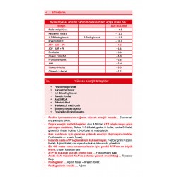 Optimum Review Özet Biyokimya ( 10.Baskı )