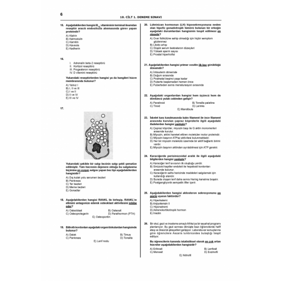 PRETUS DENEME SINAVLARI SERİSİ ( 10.Cilt ) PRETUS DENEME SINAVLARI SERİSİ ( 10.Cilt )