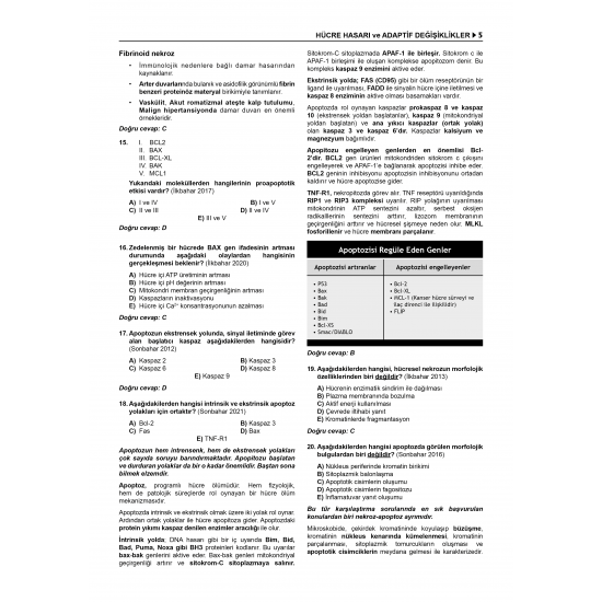 Prospektus TTS ( 11.Baskı ) Patoloji