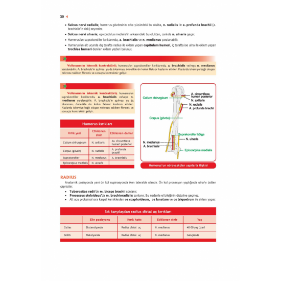 ProspekTUS ANATOMİ ( 4.Baskı ) ProspekTUS ANATOMİ ( 4.Baskı )