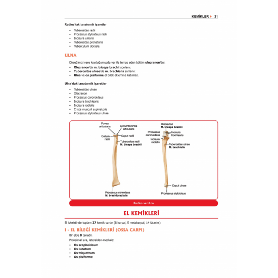 ProspekTUS ANATOMİ ( 4.Baskı ) ProspekTUS ANATOMİ ( 4.Baskı )