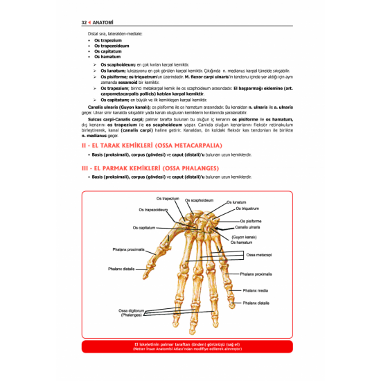 ProspekTUS ANATOMİ ( 4.Baskı ) ProspekTUS ANATOMİ ( 4.Baskı )