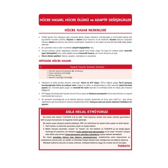Prospektus Fakülte-Komite Patoloji ( 3.Baskı ) Prospektus Fakülte-Komite Patoloji ( 3.Baskı )