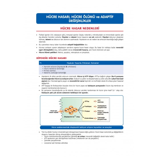 Data - Komite Patoloji Konu ( 4.Baskı )