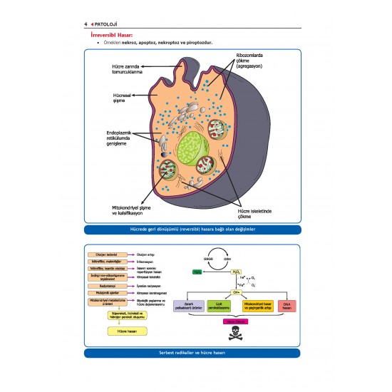Data - Komite Patoloji Konu ( 4.Baskı )