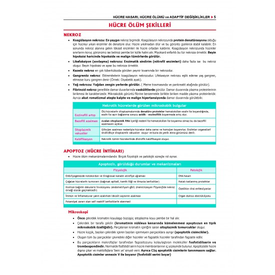 Data - Komite Patoloji Konu ( 4.Baskı )