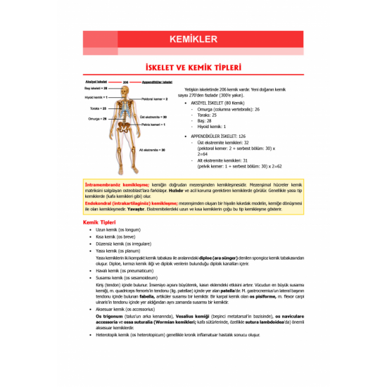 Data - Komite Anatomi Konu ( 1.Baskı ) Data - Komite Anatomi Konu ( 1.Baskı )