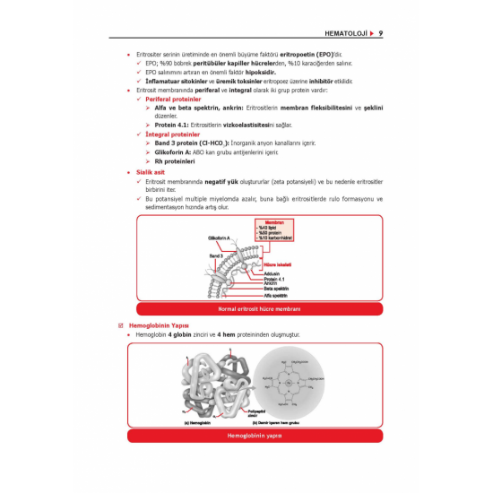 ProspekTUS Konu Dahiliye ( 10.Baskı ) ProspekTUS Konu Dahiliye ( 10.Baskı )