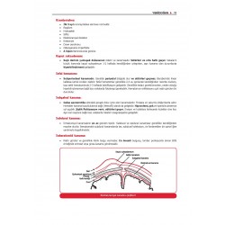 Prospektus Konu PEDİATRİ ( 8.Baskı )