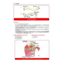 ProspekTUS Konu ANATOMİ ( 5.Baskı )