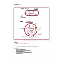 Data - Komite Mikrobiyoloji Konu ( 2.Baskı )