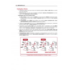 Data - Komite Mikrobiyoloji Konu ( 2.Baskı )