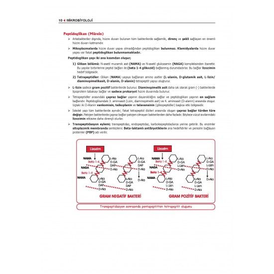 Data - Komite Mikrobiyoloji Konu ( 2.Baskı ) Data - Komite Mikrobiyoloji Konu ( 2.Baskı )