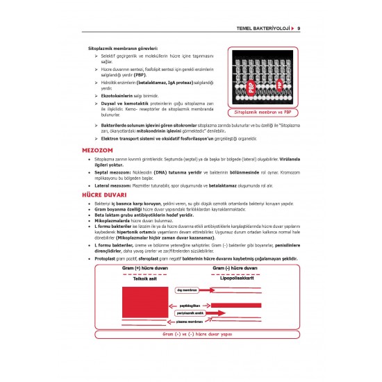 Data - Komite Mikrobiyoloji Konu ( 2.Baskı ) Data - Komite Mikrobiyoloji Konu ( 2.Baskı )