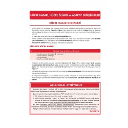Prospektus Konu Patoloji ( 7.Baskı )