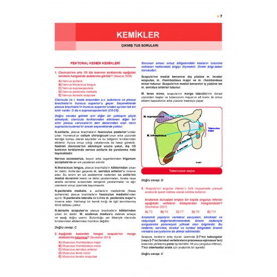 Prospektus Tüm Tus Soru ( 9.Baskı ) Anatomi