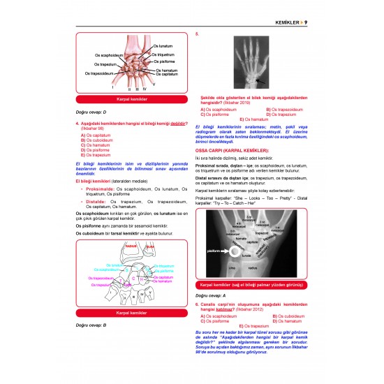 Prospektus Tüm Tus Soru ( 9.Baskı ) Anatomi