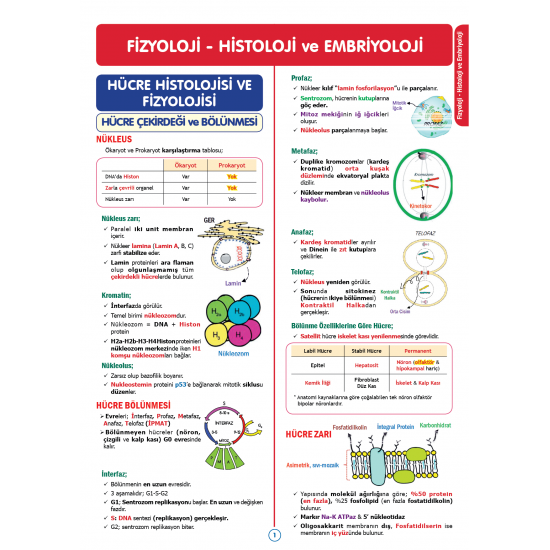 Rapidus Kampı ( 4.Baskı ) 1.Cilt Rapidus Kampı ( 4.Baskı ) 1.Cilt
