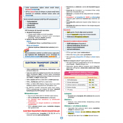 Rapidus Kampı ( 4.Baskı ) 2.Cilt