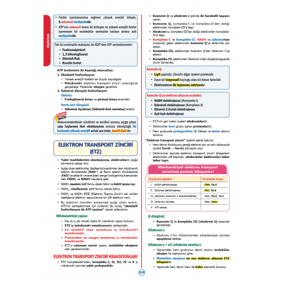 Rapidus Kampı ( 4.Baskı ) 2.Cilt Rapidus Kampı ( 4.Baskı ) 2.Cilt