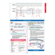 Rapidus Kampı ( 4.Baskı ) 2.Cilt Rapidus Kampı ( 4.Baskı ) 2.Cilt