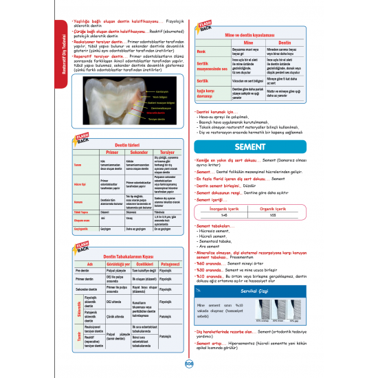 Rapidus Kampı ( 4.Baskı ) 3.Cilt Rapidus Kampı ( 4.Baskı ) 3.Cilt