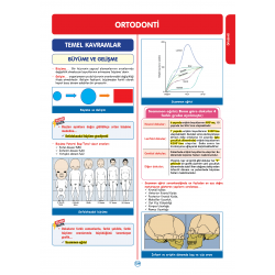 Rapidus Kampı ( 4.Baskı ) 4.Cilt