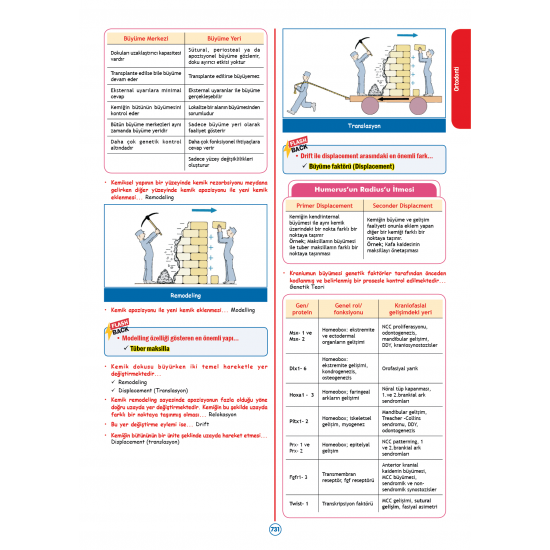 Rapidus Kampı ( 4.Baskı ) 4.Cilt Rapidus Kampı ( 4.Baskı ) 4.Cilt
