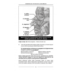 Sonbahar 2025 ÖSYM nin Orijinal TUS Soruları