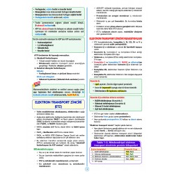 SPEETUS Kampı Biyokimya ( 3.Baskı )